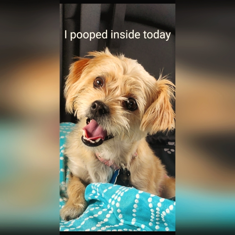 Cause my owner had no packages to send out.